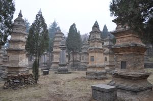 21 foresta di pagode tempio shaolin